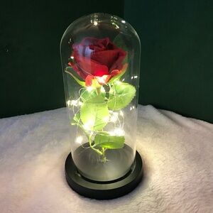 Just For You Eternal Preserved Rose In Glass Dome Happy Mothers Day Anniversary